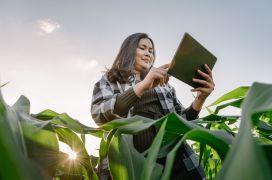 5 manieren om uw voedingsmiddelenbedrijf duurzaam te laten groeien