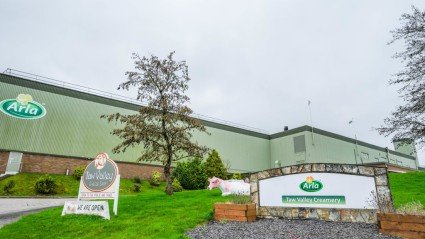 Arla Foods investeert 210 miljoen euro in Britse productie van mozzarella