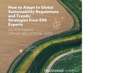 How to Adapt to Global Sustainability Regulations and Trends: Strategies from ESG Experts